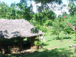 Small guest house for unexpected visitors.